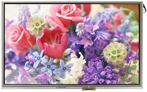 7.0” O Film TFT - WF70G Front