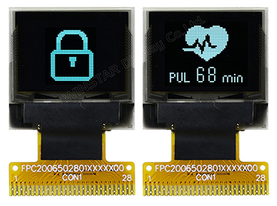 Winstar Display - 0.66 inch OLED WEO006448A