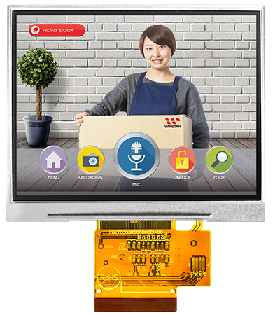 WEO012832K - Winstar Display