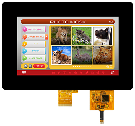 WEO012864G - Winstar Display