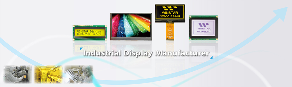 ウィンスターニュス