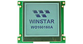 160x160 COG LCD Display - WO160160A