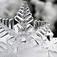 WINSTAR Новости Выпуск Мая 2019 WINSTAR Новости Выпуск Мая 2019