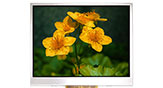 3.5 Wide Temperature Active Matrix TFT LCD Display